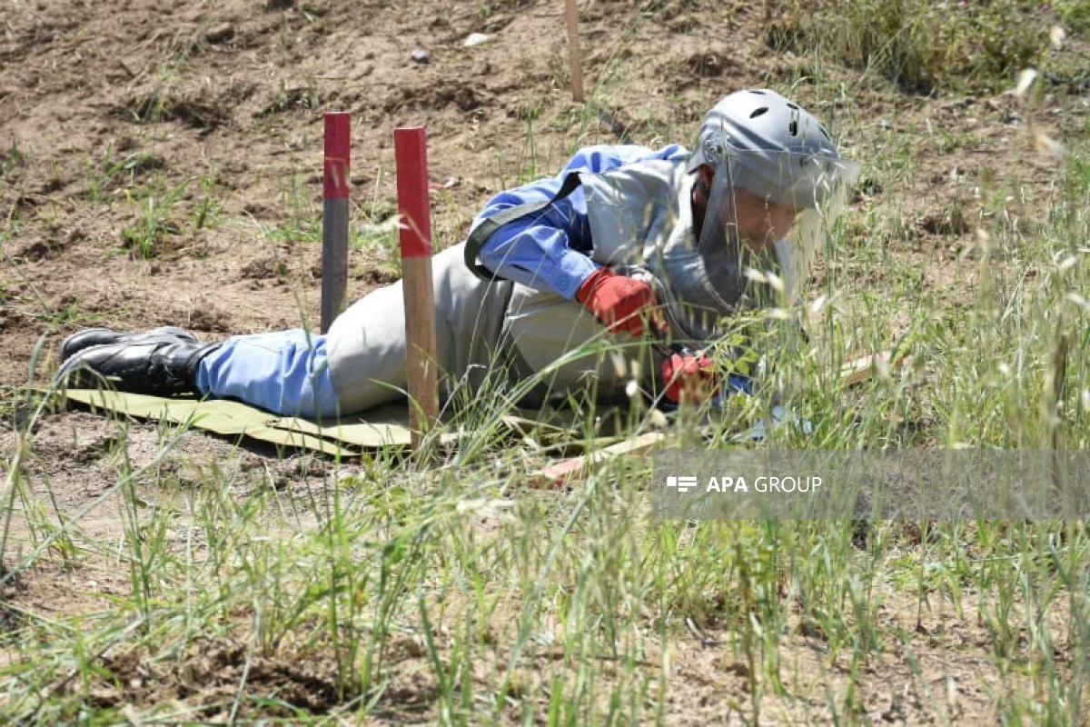 300,000 hectares cleared of mines in liberated territories to date