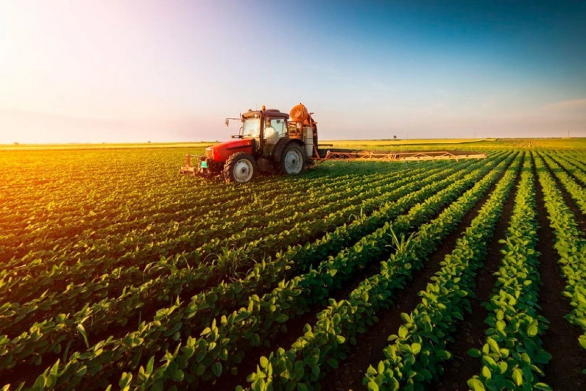 Azerbaijan to develop rules for consolidation of agricultural land