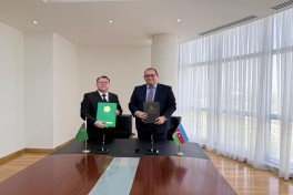 Azerbaijan, Turkmenistan hold next consular consultations
