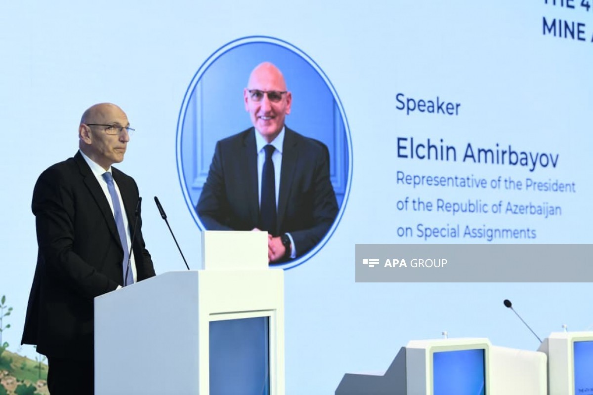 Elchin Amirbayov, Representative of the President of Azerbaijan on Special Assignments