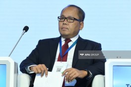Final panel discussion held at 4th International Mine Action Conference in Baku - PHOTO 