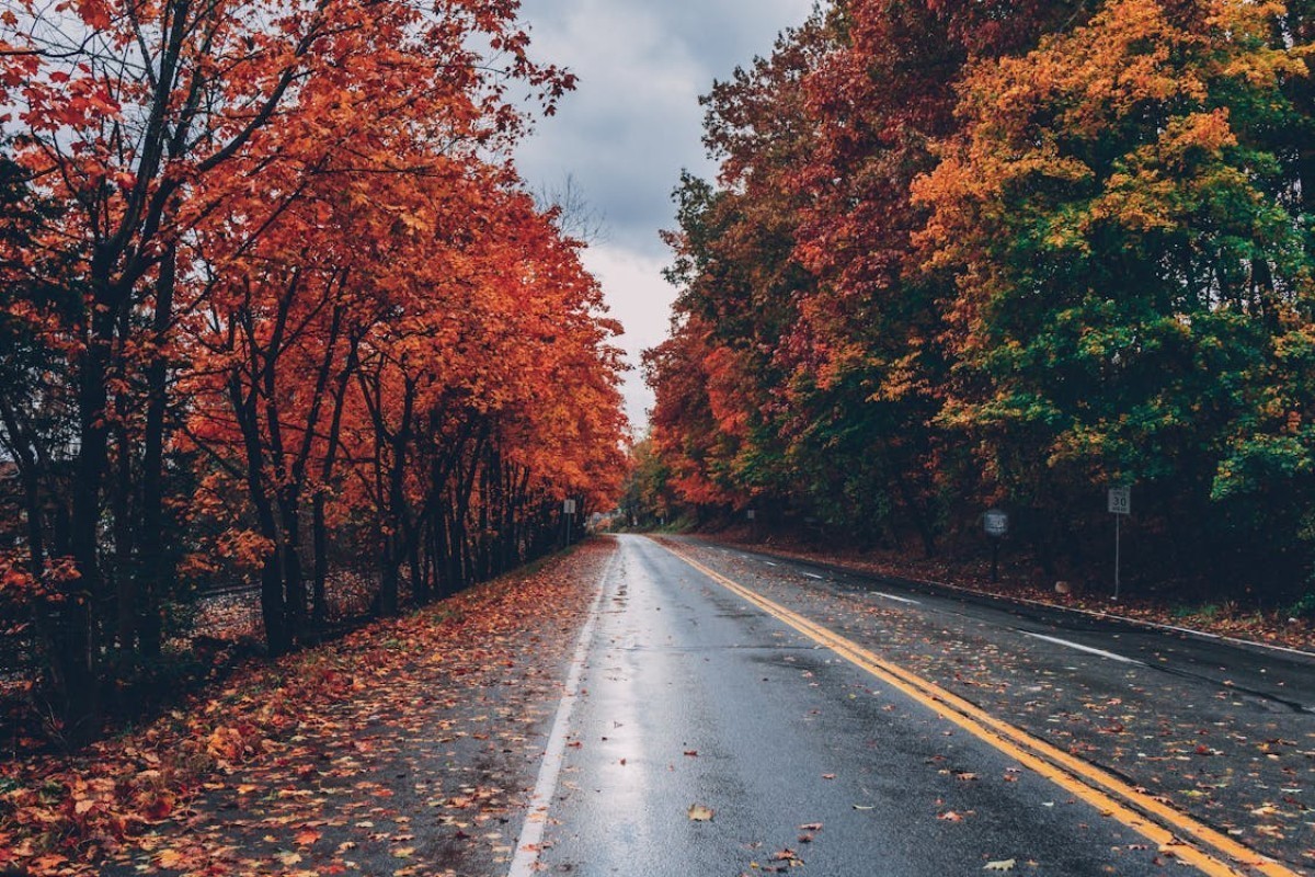 Autumn to begin in Azerbaijan on September 23