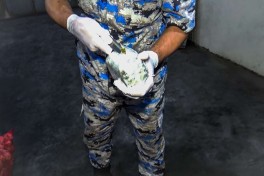 Azerbaijan customs seize 25.5kg of marijuana in Iran-Russia transit shipment - VIDEO 
