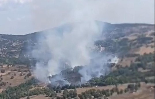 Forest fire breaks out in Bursa