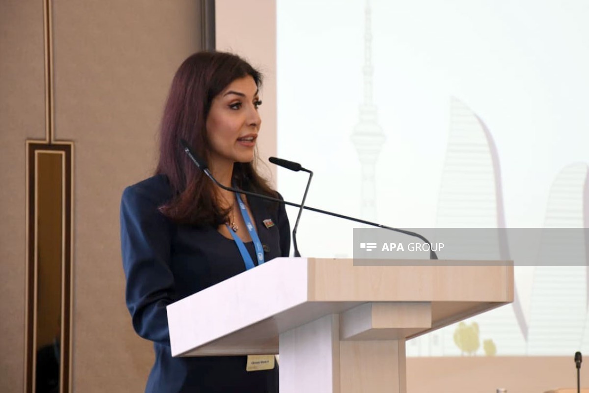 COP29 High-Level Champion and Member of the Milli Majlis Nigar Arpadarai