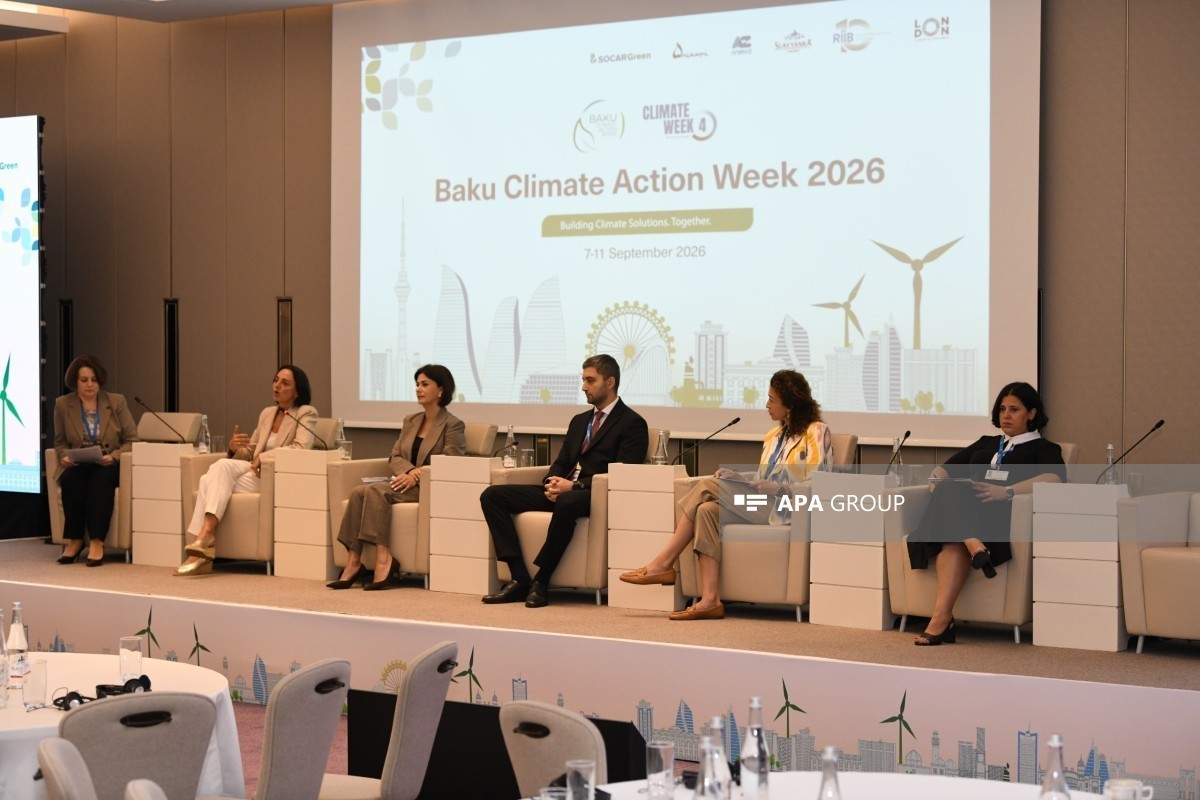 UN CW4 conference holds another panel session