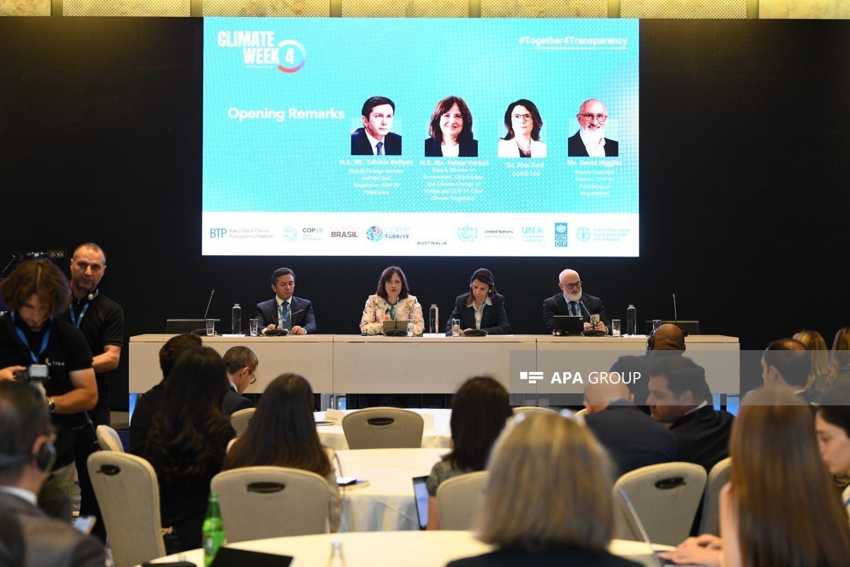 Next panel session held as part of Climate Week - <span class="red_color">PHOTO