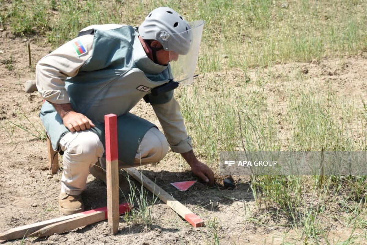 Azerbaijan detects 168 mines and 1,390 UXOs in liberated territories
