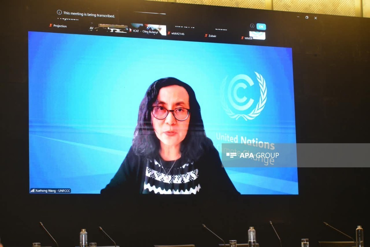 Xuehong Wang, Director of the Transparency Division at the Secretariat of the United Nations Framework Convention on Climate Change (UNFCCC)