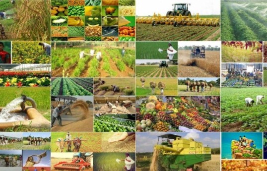Azerbaijan announces new agricultural subsidy programs