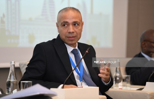 Deputy Energy Minister Elnur Soltanov