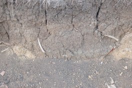 Ancient artifacts discovered during road construction in Jalilabad - PHOTO 