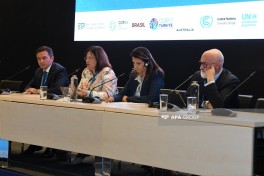 Next panel session held as part of Climate Week - PHOTO 