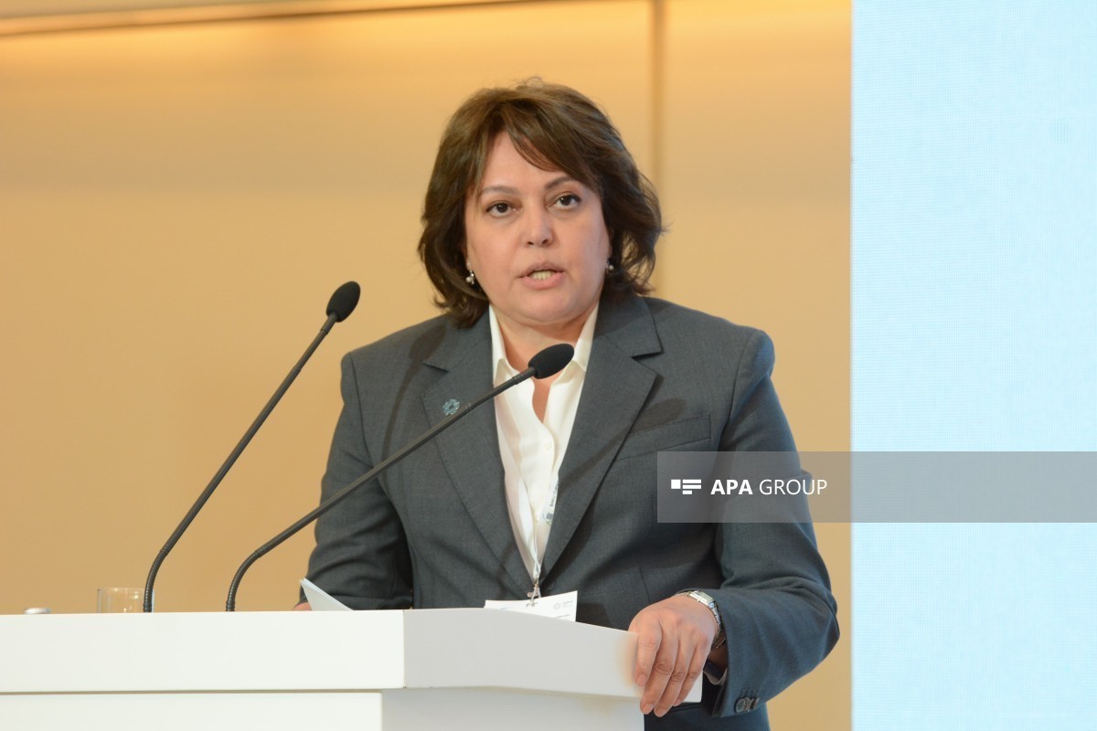 Deputy Minister of Ecology and Natural Resources Umayra Taghiyeva
