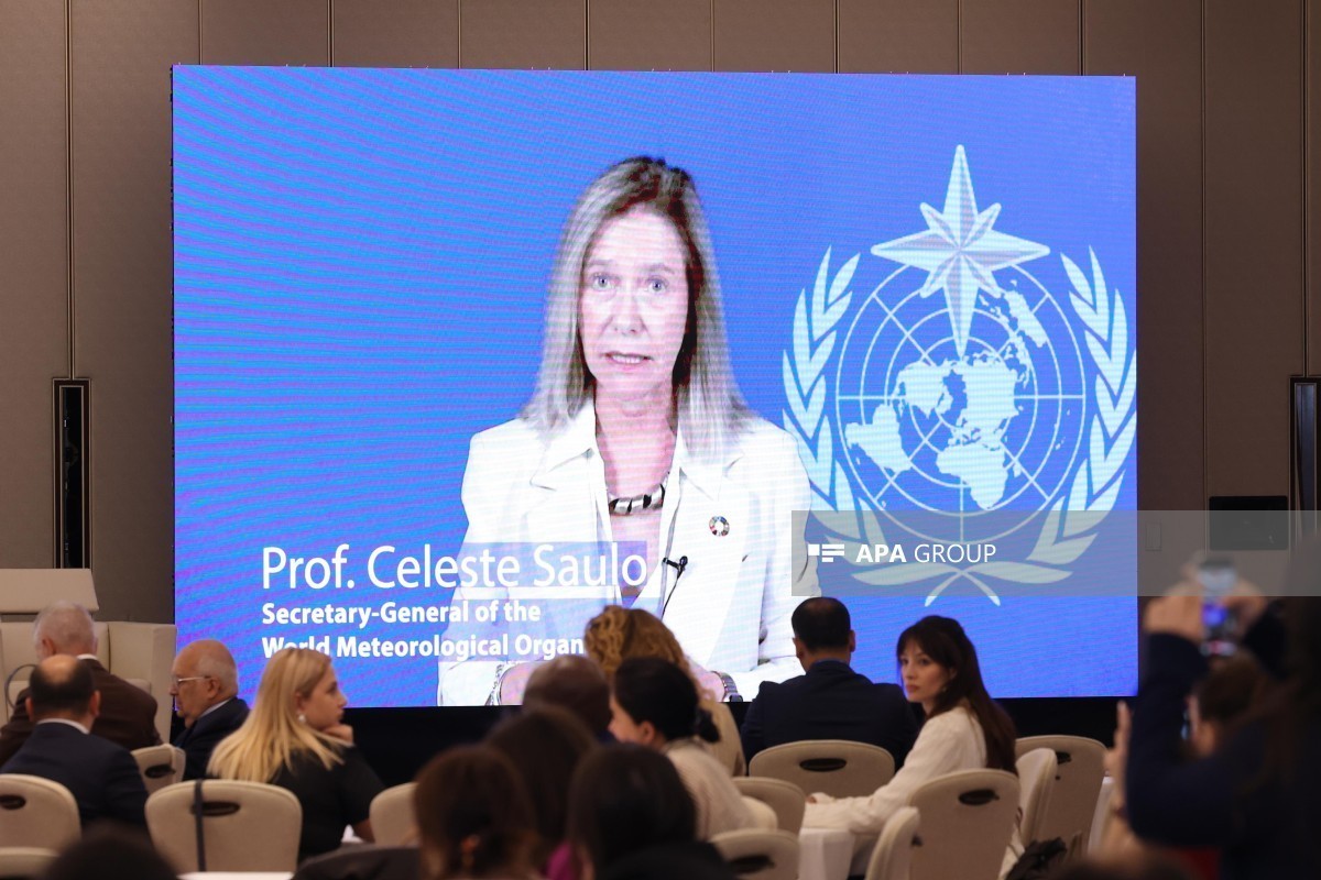 WMO Secretary-General: Last 11 years have been the warmest period