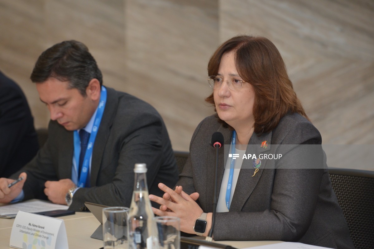 Türkiye’s Deputy Minister of Environment, Urbanization and Climate Change Fatma Varank