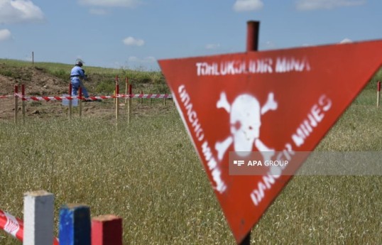 ANAMA Chairman: Cases recorded of cleared areas being recontaminated with mines during floods