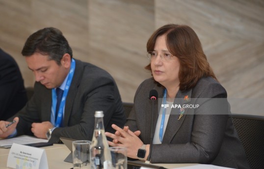 Türkiye’s Deputy Minister of Environment, Urbanization and Climate Change Fatma Varank