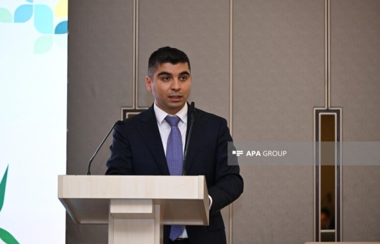 Azerbaijan’s Deputy Minister of Digital Development and Transport Rashad Hasanov
