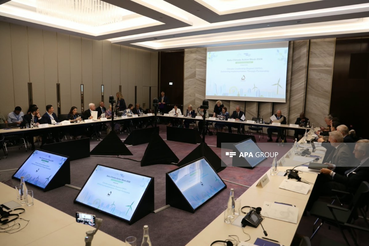 Roundtable held as part of Baku Climate Action Week