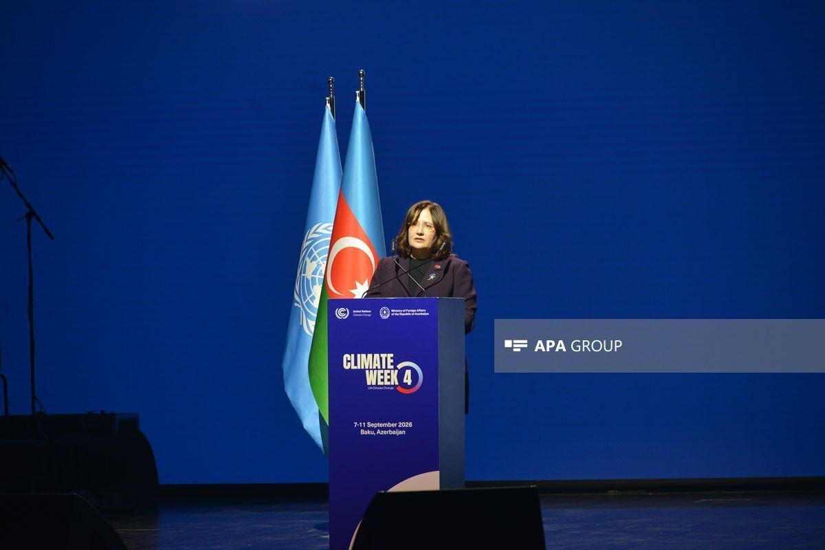COP31 Executive Director Fatma Varank