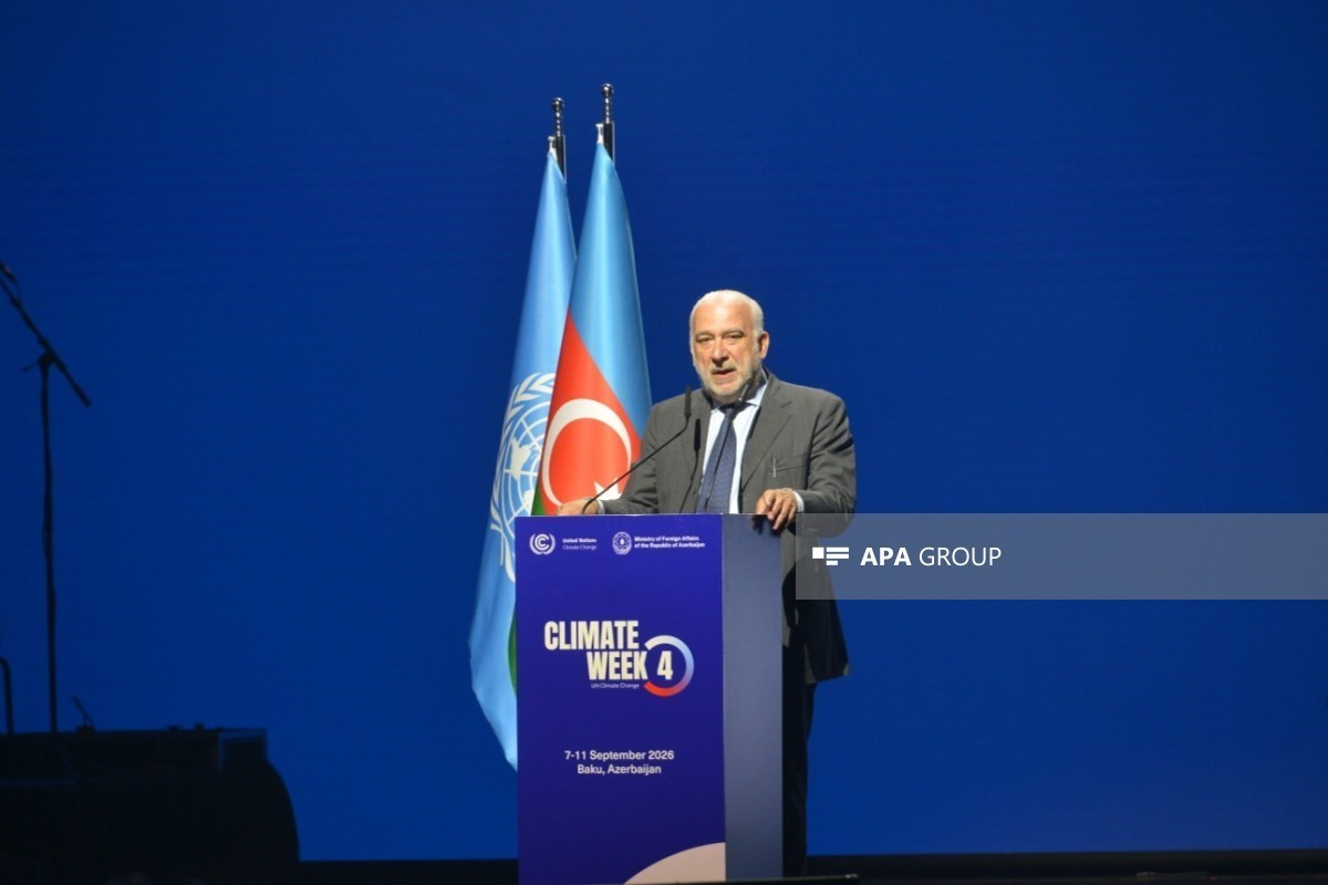 UNFCCC Senior Director for Programme Coordination Daniele Violetti