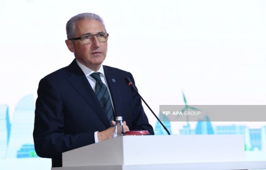 Representative of the President of Azerbaijan on Climate Issues Mukhtar Babayev