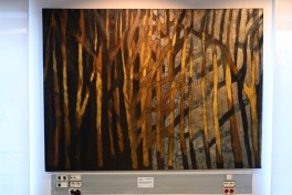 MAMA “Mother Nature” international art exhibition opens in Madrid