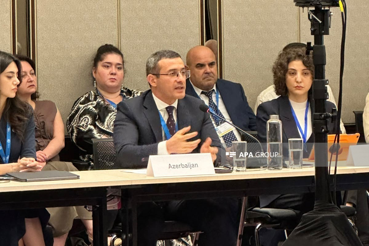 Foreign Ministry Department Director: Cities’ climate concerns should be taken into account