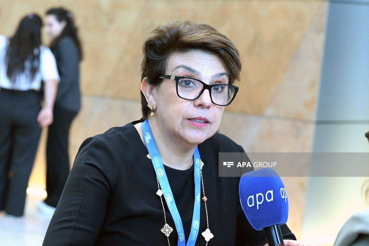 Ambassador Extraordinary and Plenipotentiary of Mexico to Azerbaijan, Maria Victoria Romero Caballero