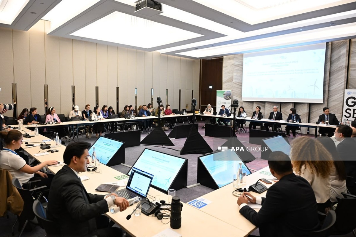 Another panel discussion held as part of Baku Climate Action Week - PHOTO 