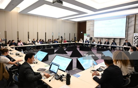 Another panel discussion held as part of Baku Climate Action Week - PHOTO 