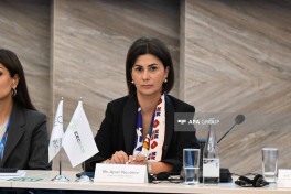 Another panel discussion held as part of Baku Climate Action Week - PHOTO 
