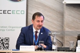 Another panel discussion held as part of Baku Climate Action Week - PHOTO 