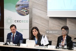 Another panel discussion held as part of Baku Climate Action Week - PHOTO 