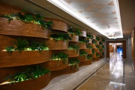 Pirgulu Park hotel inaugurated in Shamakhi - UPDATED 