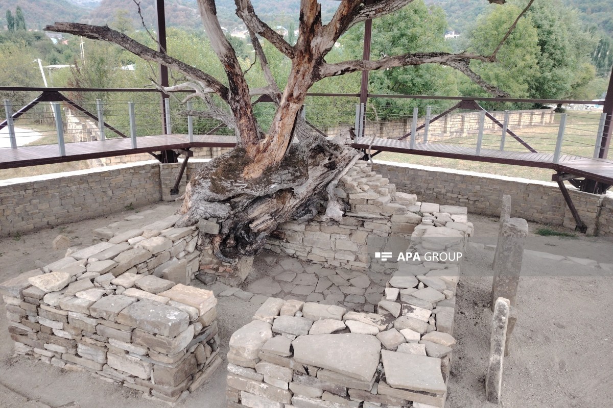 Department: Restoration works carried out at Pir Omar Sultan shrine with support of Heydar Aliyev Foundation - PHOTO 
