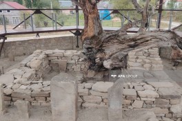 Department: Restoration works carried out at Pir Omar Sultan shrine with support of Heydar Aliyev Foundation - PHOTO 