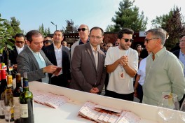 Grape and Wine Festival kicks off in Shamakhi-PHOTO 