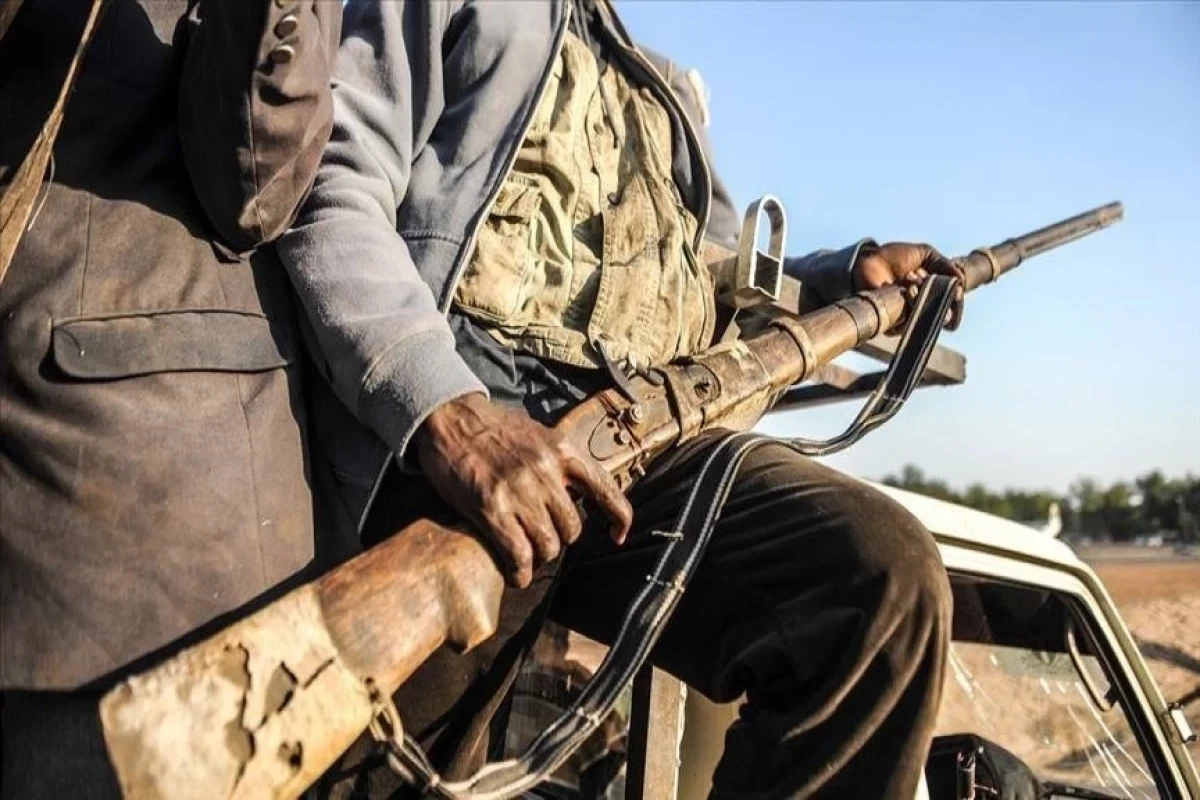 Nine killed in armed attack in Nigeria