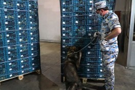 Azerbaijani customs seize major drug shipment bound for Russia from Iran