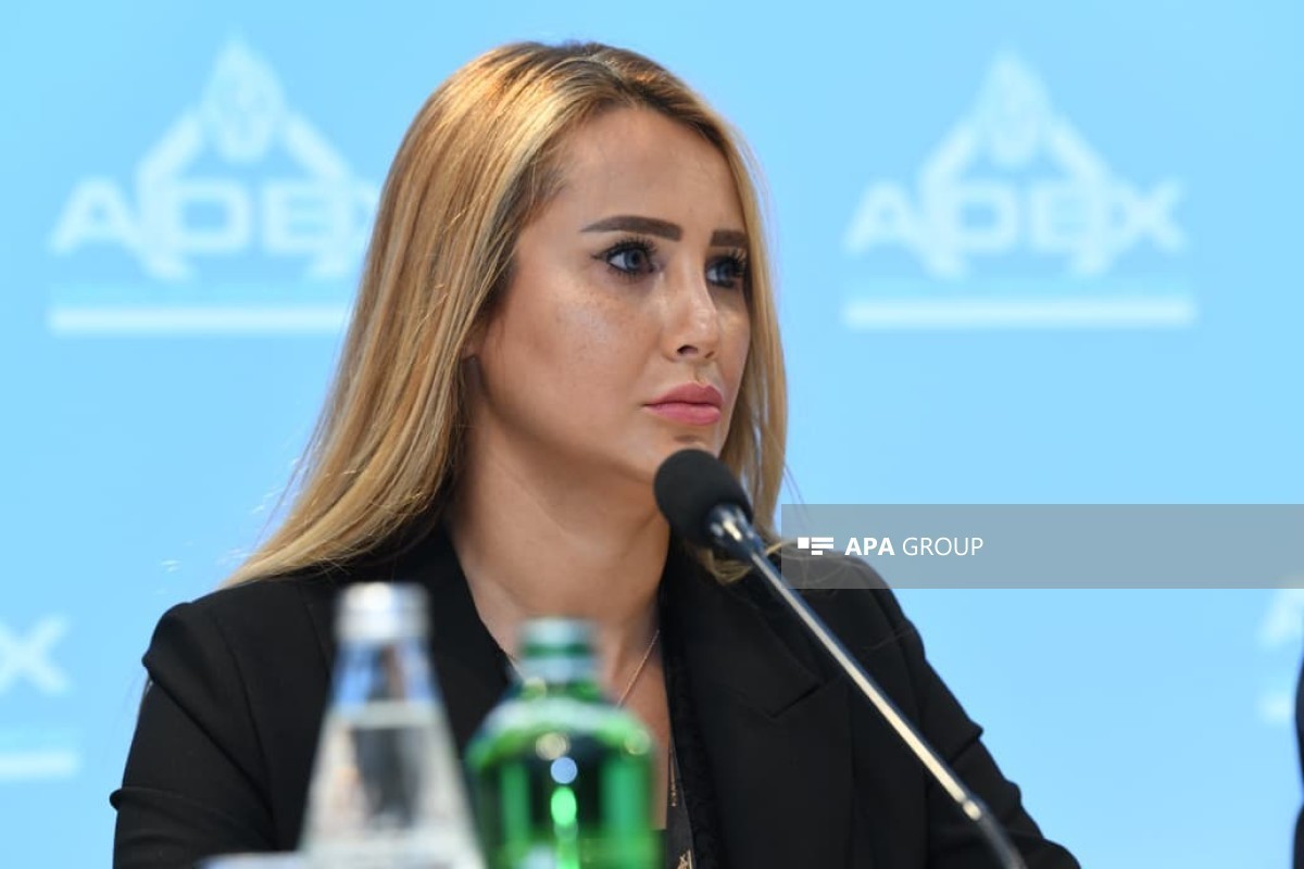 Gulsum Rzayeva, Head of the International Strategic Cooperation Department of the Office of Azerbaijan