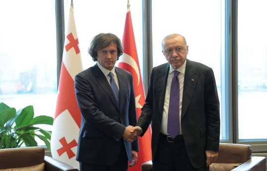 Georgian Prime Minister Irakli Kobakhidze and Recep Tayyip Erdoğan, Turkish President