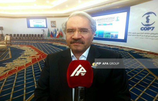 Ahmad Reza Lahijanzadeh, Deputy Head for Marine Environment and Wetlands at Iran's Department of Environment