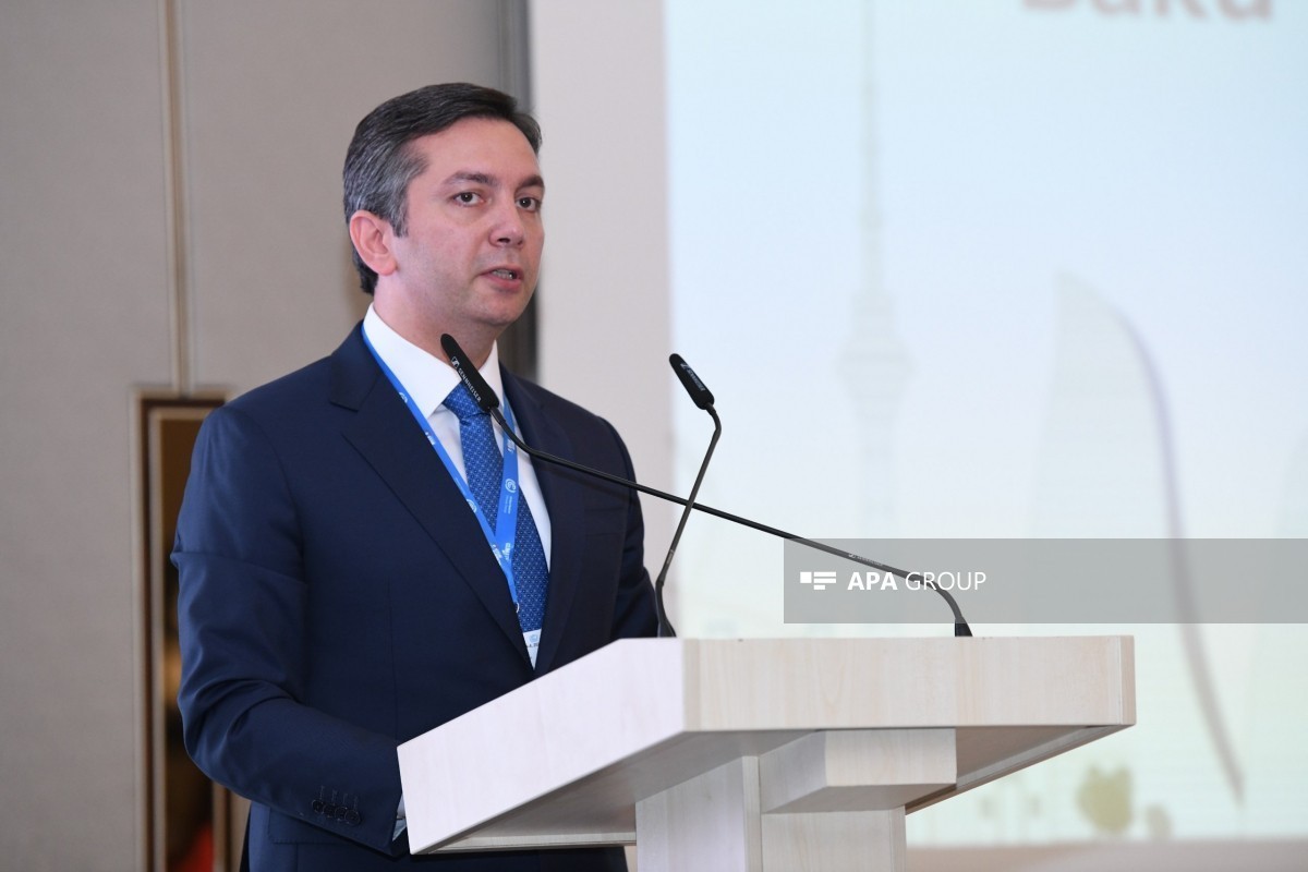 Yalchin Rafiyev, Deputy Minister of Foreign Affairs of Azerbaijan
