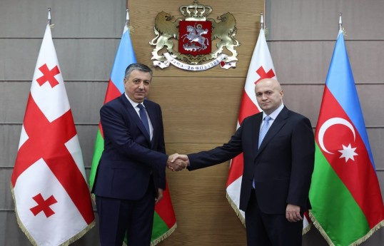 Azerbaijan, Georgia discuss cooperation between law enforcement agencies