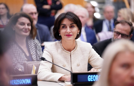 Georgian Foreign Minister: Progress in the peace process between Baku and Yerevan is important for region as whole
