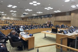 Jeyhun Bayramov addresses OIC Coordination Meeting