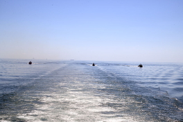 Preparatory training held in Baku for “Power of Unity – 2026” joint military exercise-PHOTO -VIDEO 