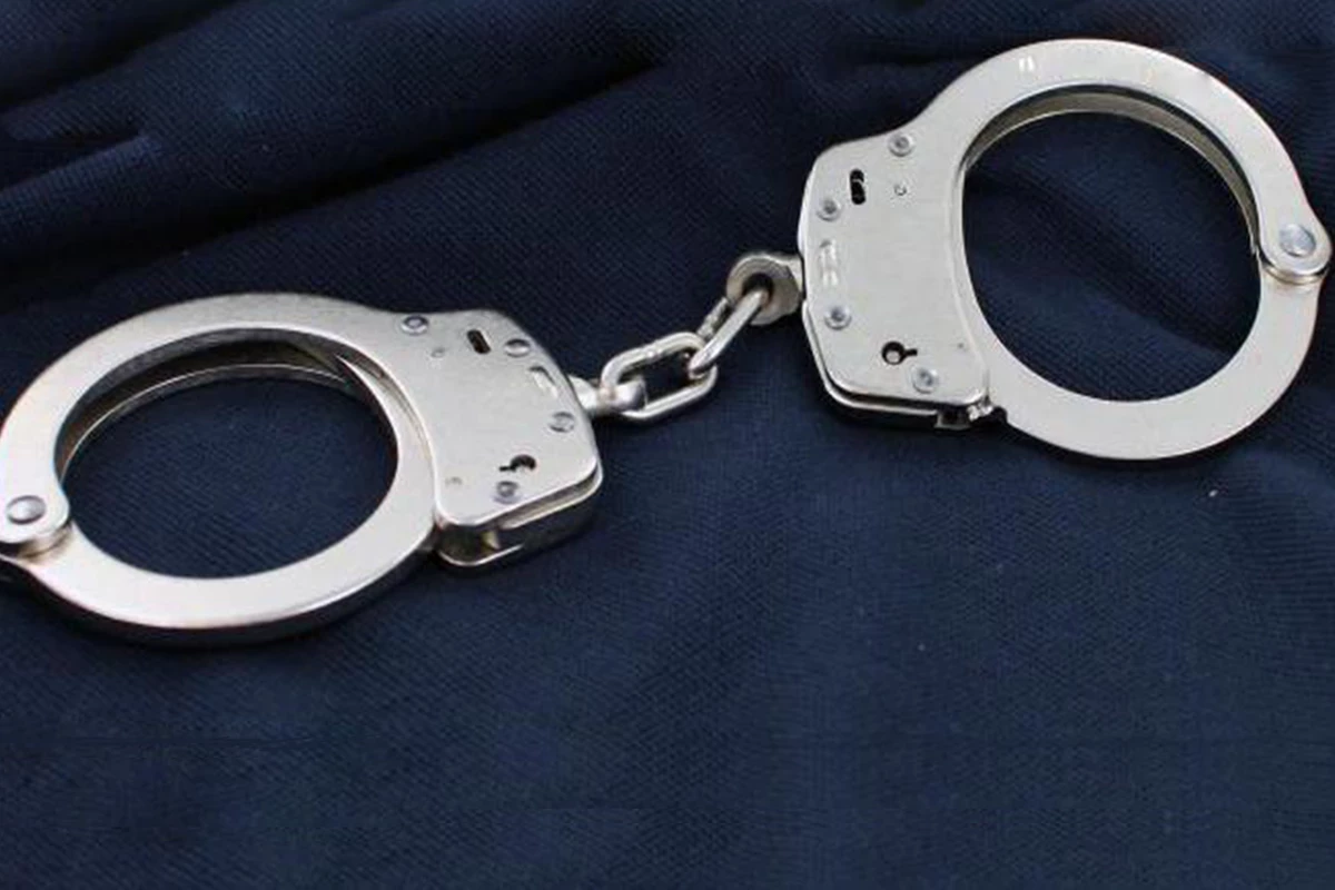 Two detained in Georgia for joining ISIS following special operation